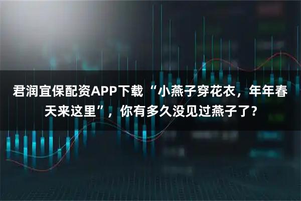 君润宜保配资APP下载 “小燕子穿花衣，年年春天来这里”，你有多久没见过燕子了？