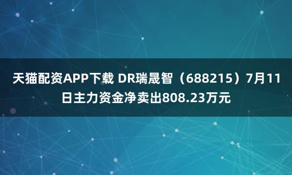 天猫配资APP下载 DR瑞晟智（688215）7月11日主力资金净卖出808.23万元