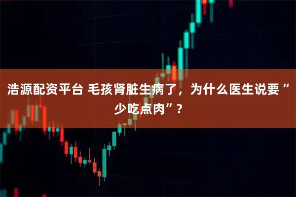 浩源配资平台 毛孩肾脏生病了，为什么医生说要“少吃点肉”？